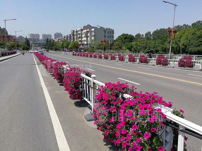 護(hù)欄花盆 護(hù)欄花盆