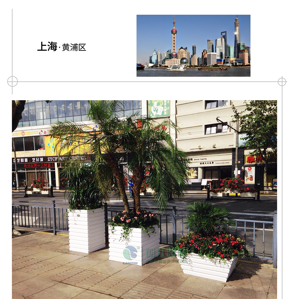 上海黃浦區(qū)人行道綠化 上海黃浦區(qū)人行道綠化