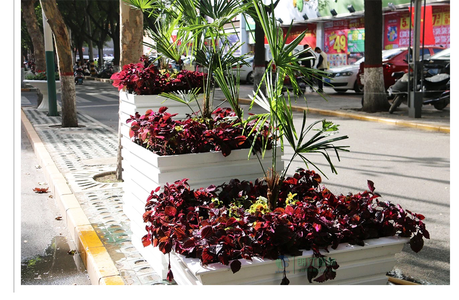 渭南道路兩邊綠化景觀 渭南道路兩邊綠化景觀