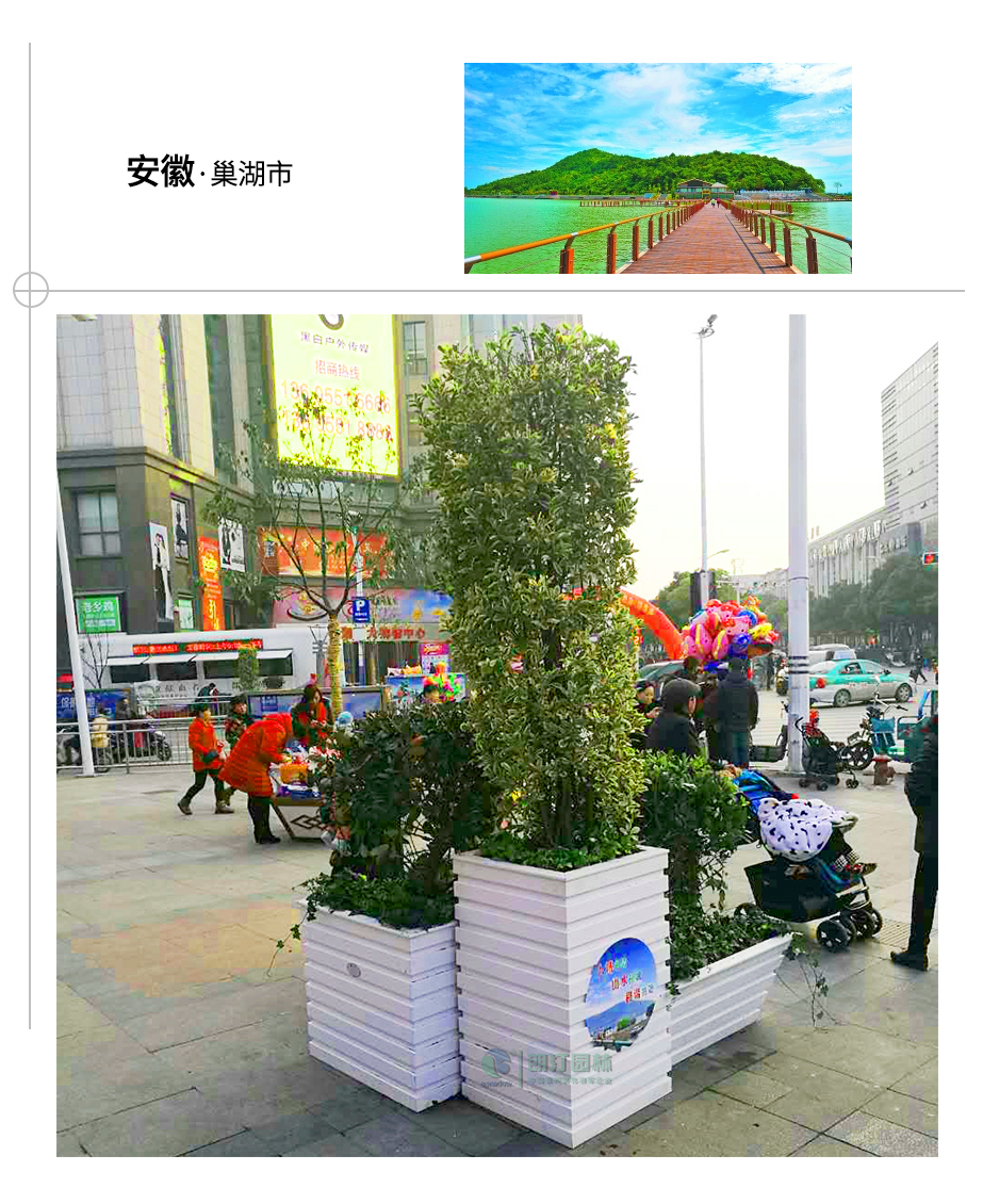巢湖花箱景觀案例 巢湖花箱景觀案例