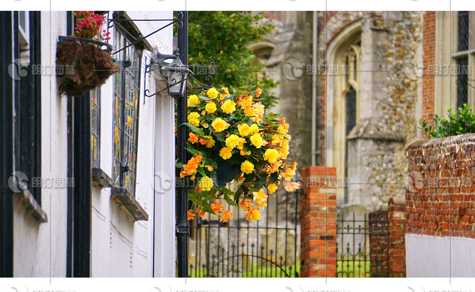 街道邊窗臺(tái)怎么綠化
