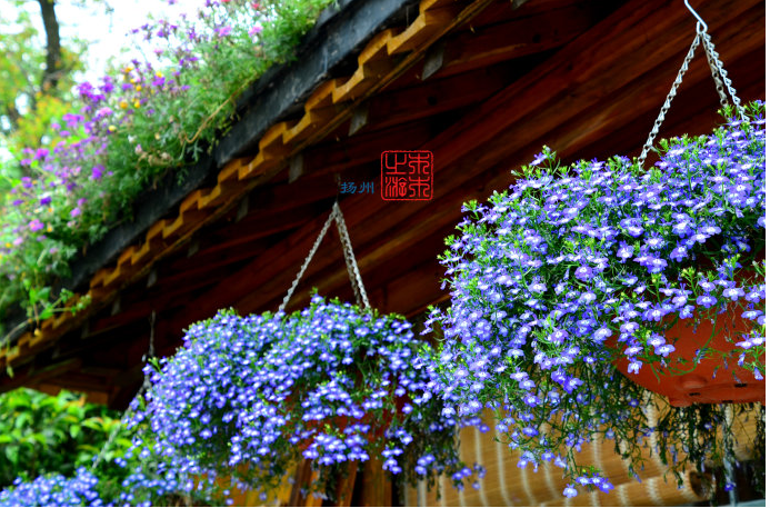 微信圖片_20180911104019 微信圖片_20180911104019