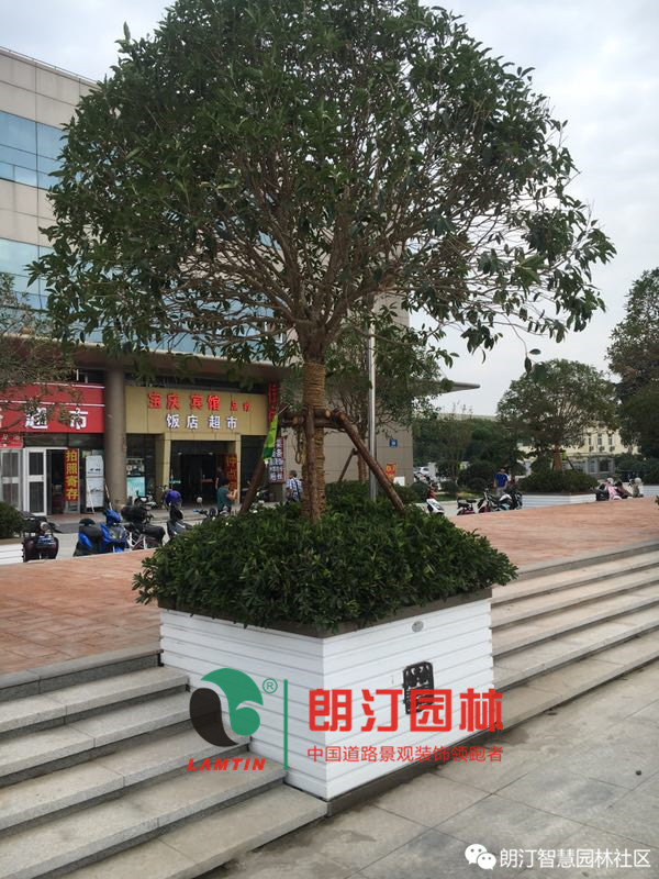 案例圖 (6) 案例圖 (6)