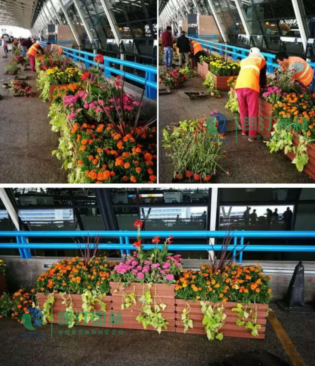 微信圖片_20171219150851 微信圖片_20171219150851