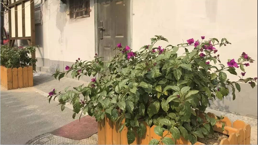 微信截圖_20181121102955 微信截圖_20181121102955