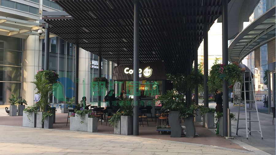 店鋪門面景觀綠化