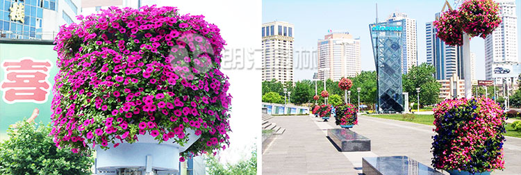 燈桿電線桿立體綠化