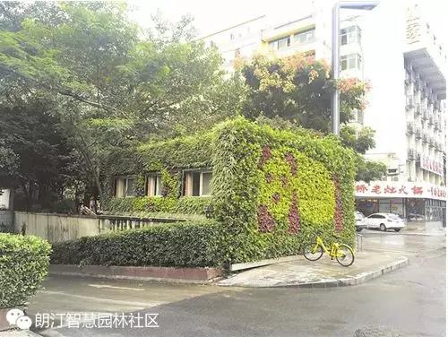 成都公廁立體綠化 成都公廁立體綠化