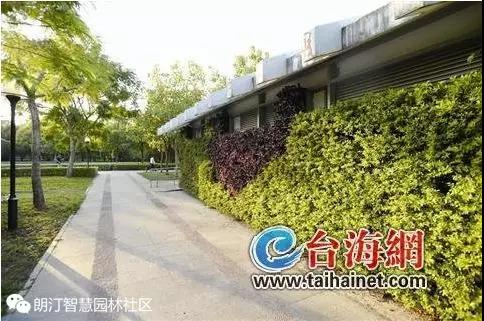 廈門公廁立體綠化 廈門公廁立體綠化