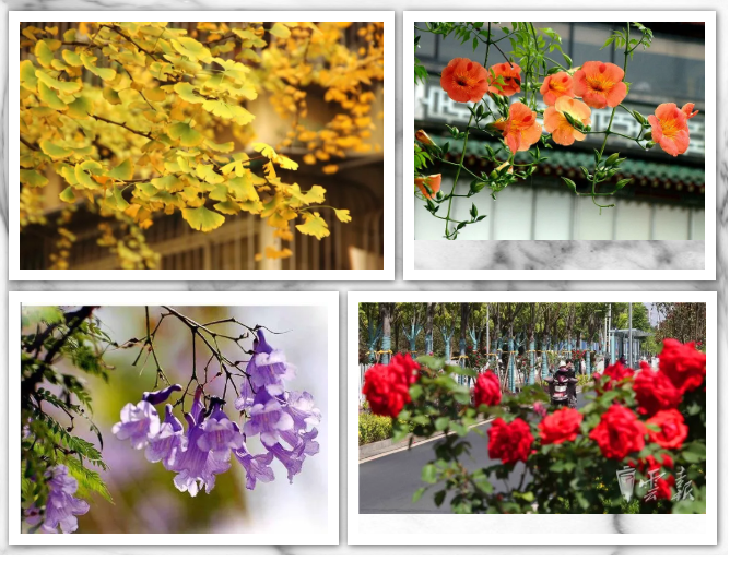 見證了城市翻天覆地的變化 見證了城市翻天覆地的變化