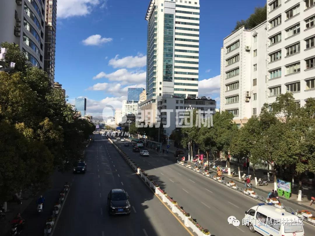 馬槽藝術(shù)花箱用于中分帶隔離綠化 馬槽藝術(shù)花箱用于中分帶隔離綠化