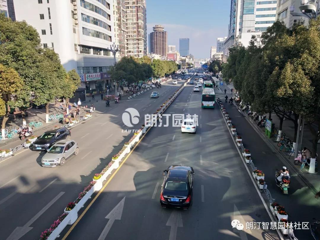 昆明北京路綠化景觀提升 昆明北京路綠化景觀提升
