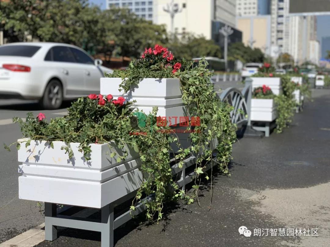 方形組合花箱用于側(cè)分帶隔離綠化 方形組合花箱用于側(cè)分帶隔離綠化