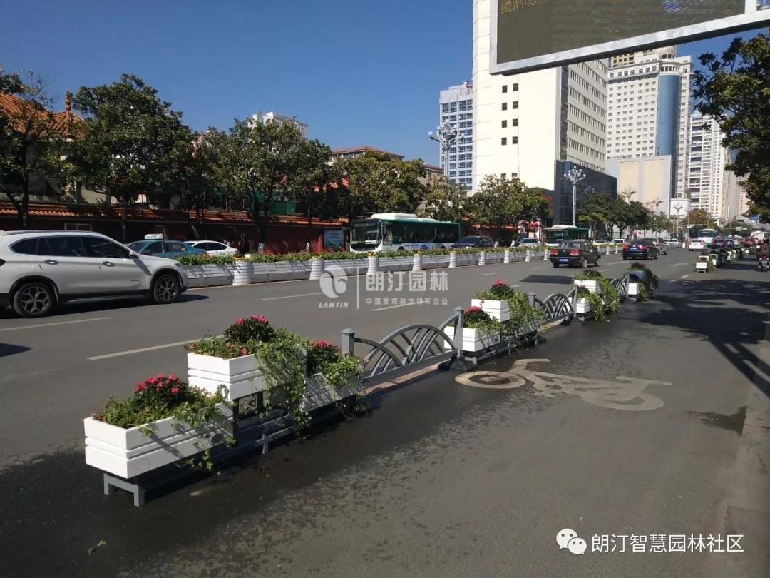 道路綠化改造提升 道路綠化改造提升