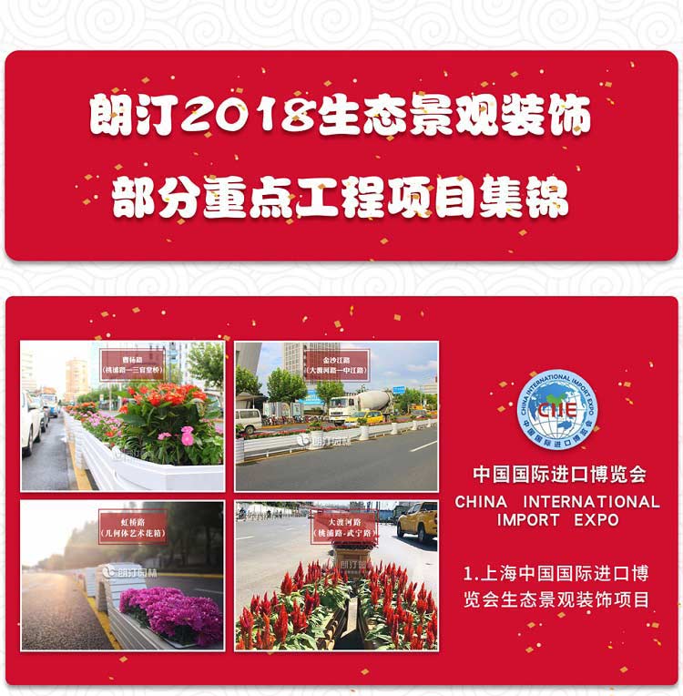 中國國際進(jìn)口博覽會(huì)生態(tài)景觀項(xiàng)目