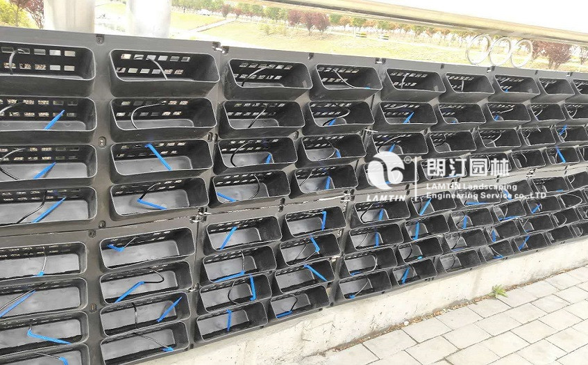 朗汀護欄綠化植物墻亮相平頂山 朗汀護欄綠化植物墻亮相平頂山