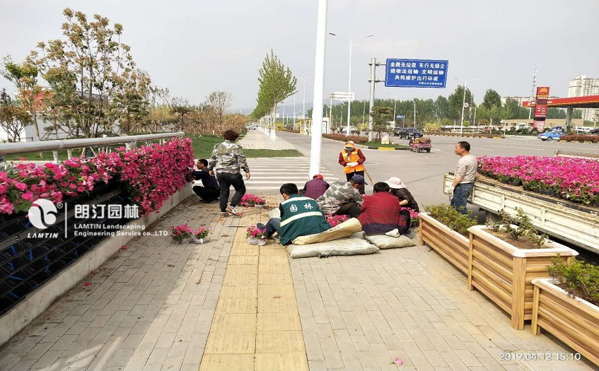 5012植物墻模塊式花盆 5012植物墻模塊式花盆