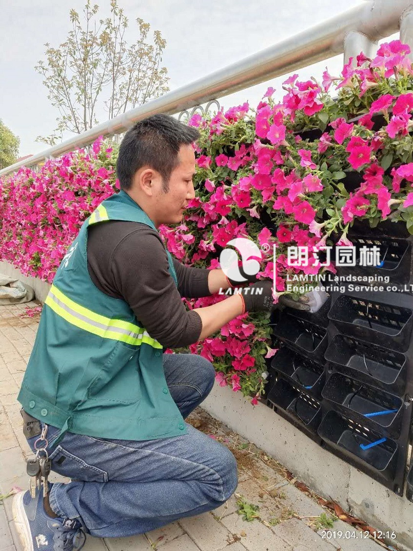 墻體生態(tài)景觀 墻體生態(tài)景觀