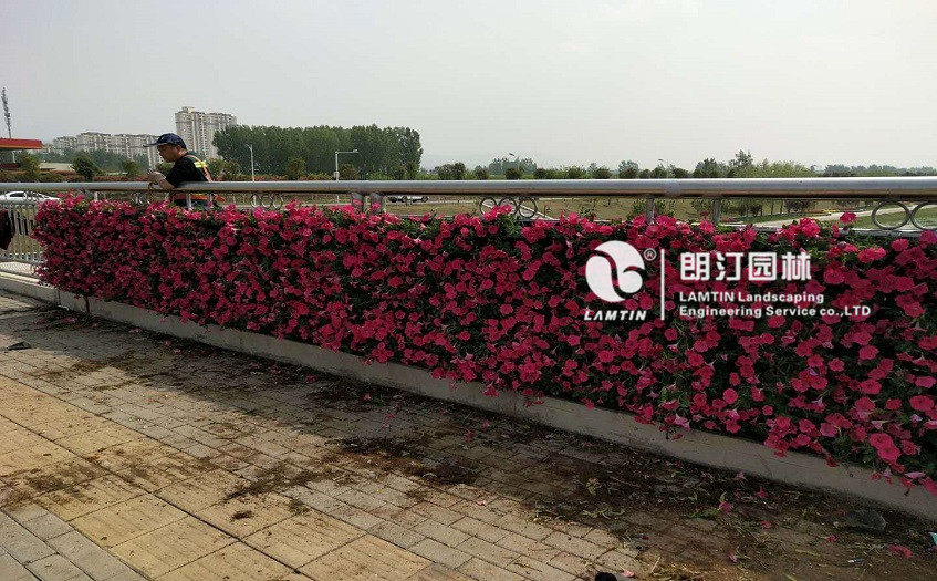 朗汀園林5012植物墻模塊式花盆打造的墻體生態(tài)景觀 朗汀園林5012植物墻模塊式花盆打造的墻體生態(tài)景觀