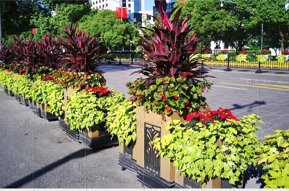 戶外組合花箱圖片大全 戶外組合花箱圖片大全