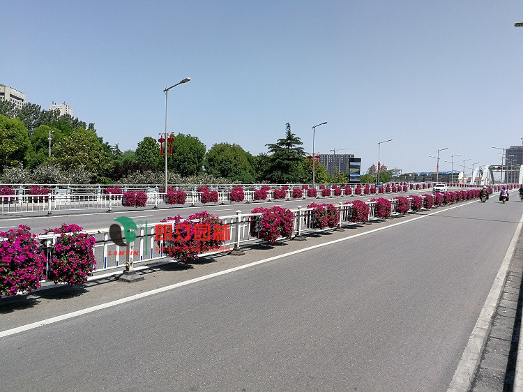 隔離護欄花盆 隔離護欄花盆