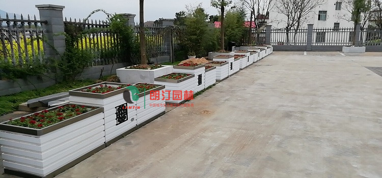 唐寶相花箱亮相商城 唐寶相花箱亮相商城