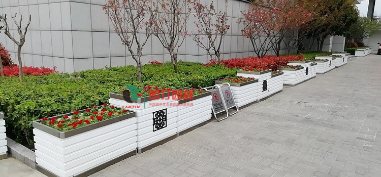 河南商城辦公園區(qū)綠化花箱-唐寶相花箱亮相商城 河南商城辦公園區(qū)綠化花箱-唐寶相花箱亮相商城