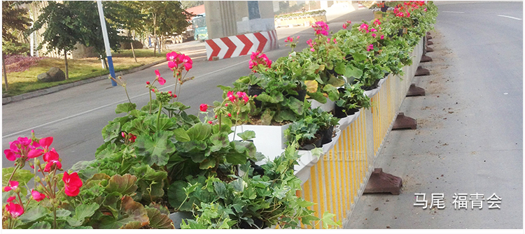 1554374652604053917.jpg 朗汀馬鞍式花盆 護(hù)欄掛花鞍馬花盆 護(hù)欄綠化服務(wù)商示例圖5