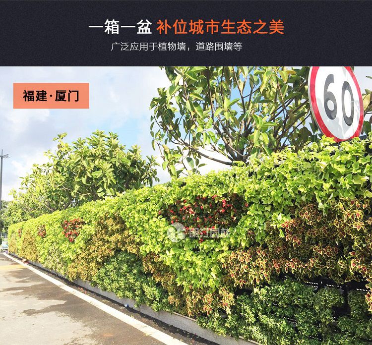 朗汀立體綠化 朗汀立體綠化