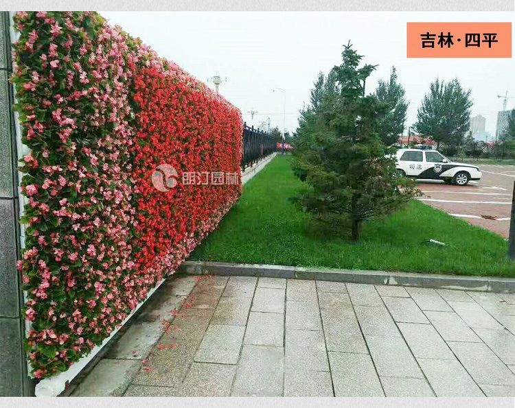 植物墻花盆廠家 植物墻花盆廠家