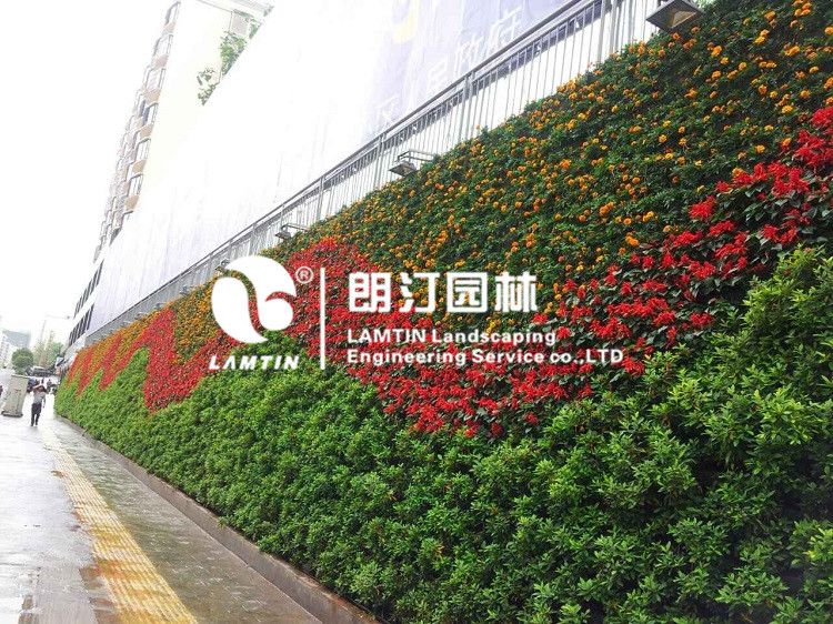 朗汀立體綠化 朗汀立體綠化