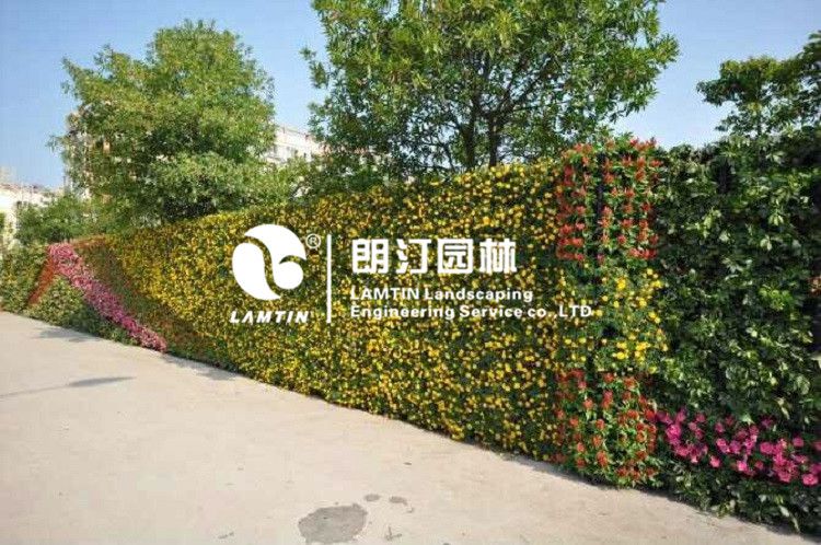 垂直墻體綠化花盆 垂直墻體綠化花盆