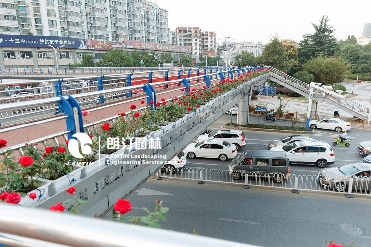 人行天橋綠化景觀提升 人行天橋綠化景觀提升