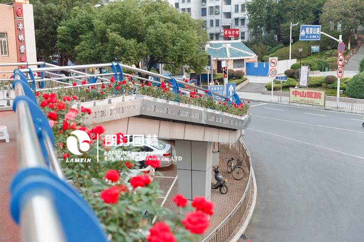 人行天橋綠化景觀提升 人行天橋綠化景觀提升