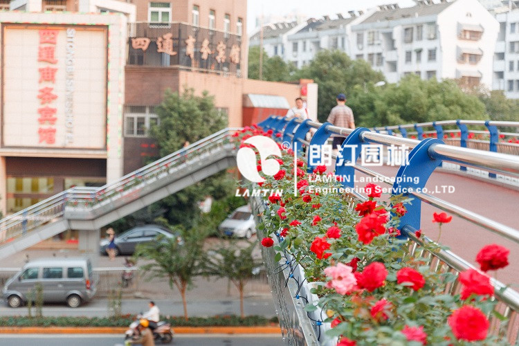 人行天橋綠化景觀提升 人行天橋綠化景觀提升