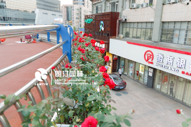 人行天橋綠化景觀提升 人行天橋綠化景觀提升