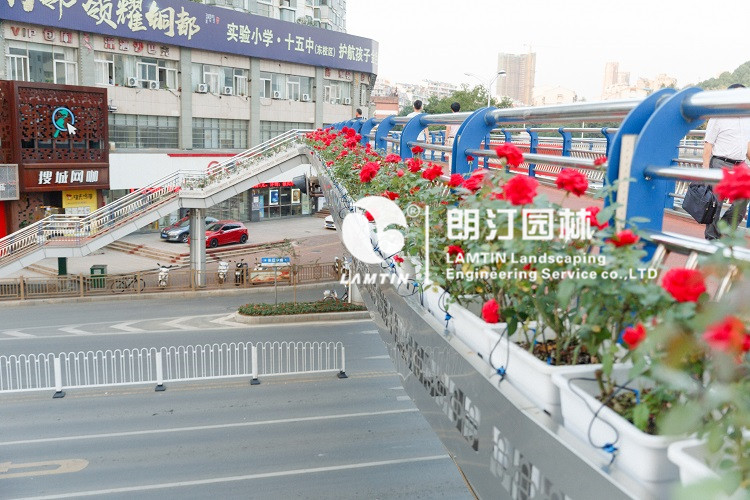 人行天橋綠化景觀提升 人行天橋綠化景觀提升