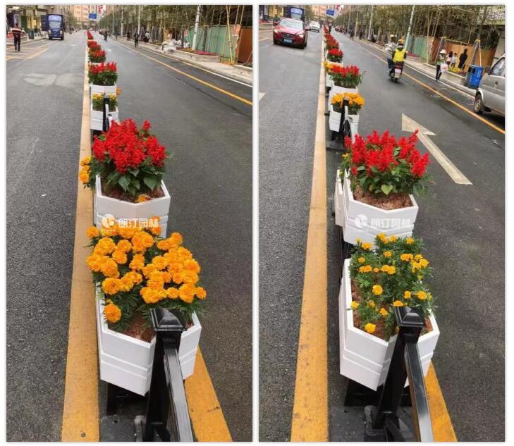 花箱道路隔離美化城市 花箱道路隔離美化城市
