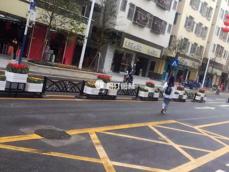 朗汀道路花箱亮相深圳街道 朗汀道路花箱亮相深圳街道