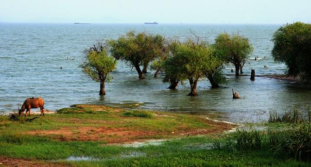 厲害了！合肥巢湖擬打造550公里鄉(xiāng)村綠道，在不在你家附近呢？