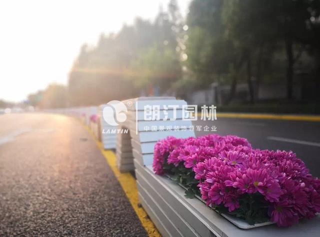 上海虹橋路幾何體藝術(shù)花箱 上海虹橋路幾何體藝術(shù)花箱