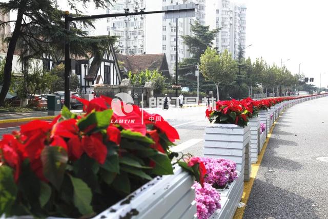 上海虹橋路幾何體藝術(shù)花箱 上海虹橋路幾何體藝術(shù)花箱