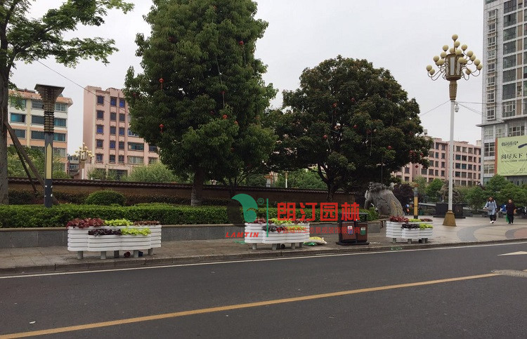 云南昭通道路花箱 云南昭通道路花箱