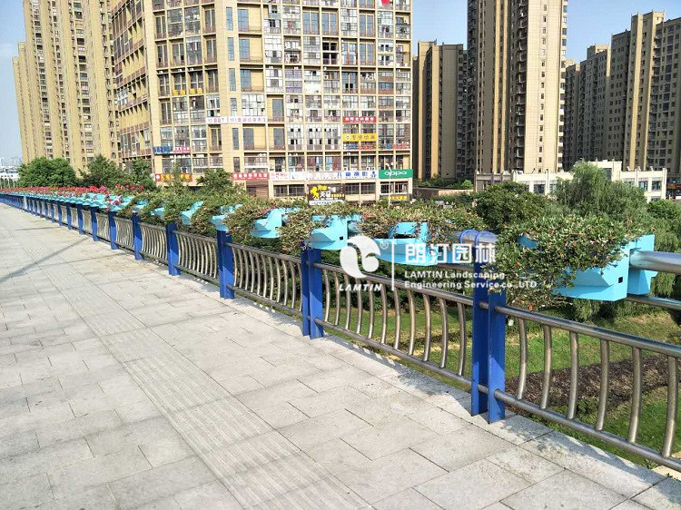 合肥肥西縣道路景觀提升