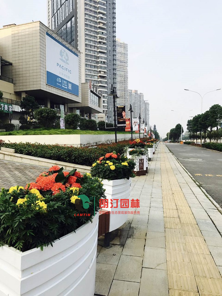 朗汀集團(tuán)弧形座椅花箱