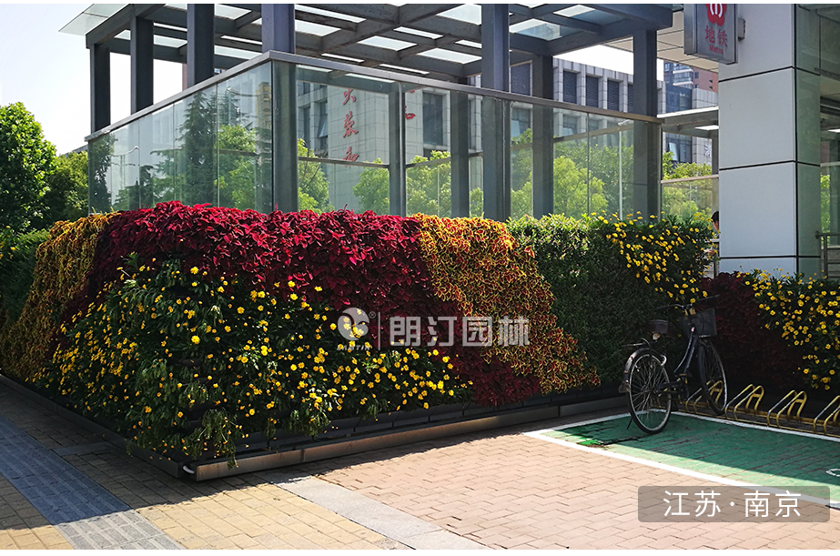植物墻拐角花盆綠化 植物墻拐角花盆綠化