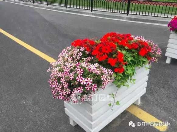 厲害了，上海長壽路上了頭條！