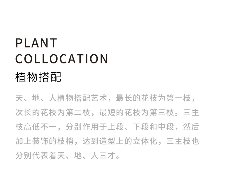 波浪藝術(shù)花箱_10 波浪藝術(shù)花箱_10