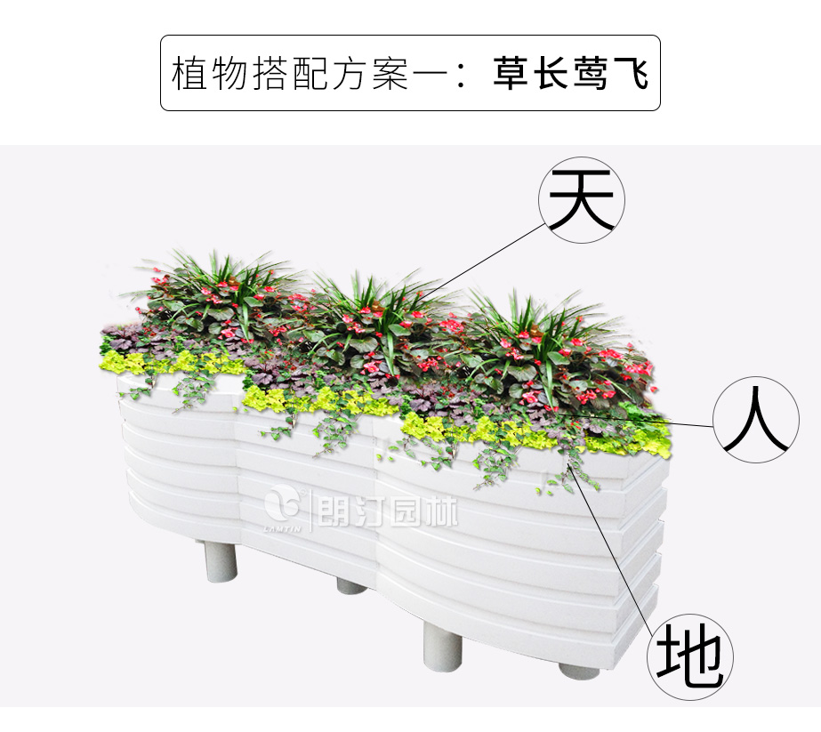 波浪藝術(shù)花箱植物搭配方案 草長(zhǎng)鶯飛 波浪藝術(shù)花箱植物搭配方案 草長(zhǎng)鶯飛