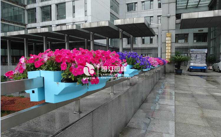 道路隔離護欄綠化案例